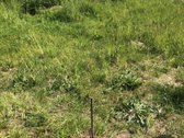 Išskirtinėje miesto vietoje parduodami trys - nuotraukos Nr. 10