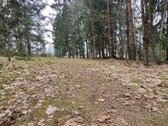 Parduodamas žemės ūkio paskirties sklypas su