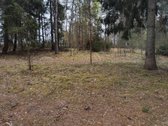 Parduodamas žemės ūkio paskirties sklypas su - nuotraukos Nr. 6