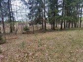 Parduodamas žemės ūkio paskirties sklypas su - nuotraukos Nr. 8