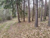 Parduodamas žemės ūkio paskirties sklypas su - nuotraukos Nr. 10