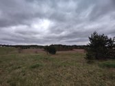 Parduodamas žemės ūkio paskirties sklypas su - nuotraukos Nr. 11