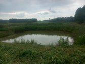 Raseinių r. sav., Narušių k. - nuotraukos Nr. 9