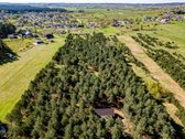 Gyvenimas Pušyne – Privati 2,6 Ha Rezidencija - nuotraukos Nr. 7