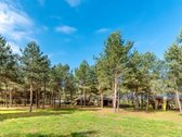 Gyvenimas Pušyne – Privati 2,6 Ha Rezidencija - nuotraukos Nr. 26