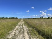 Kiautrynų g. 8, Klaipėda, greta vaizdingo - nuotraukos Nr. 12