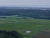 Parduodamas žemės ūkio paskirties sklypas - nuotraukos Nr. 14