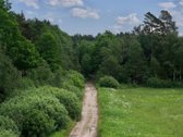 Parduodamas žemės ūkio paskirties sklypas - nuotraukos Nr. 34