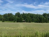 Puiki, rami vieta prie pat šiaulių, šalia miško, - nuotraukos Nr. 3