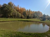 Puiki, rami vieta prie pat šiaulių, šalia miško, - nuotraukos Nr. 2
