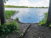 Parduodami 2 sklypai miškų apsuptyje šalia - nuotraukos Nr. 6