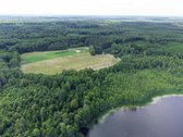 Parduodami 2 sklypai miškų apsuptyje šalia - nuotraukos Nr. 8