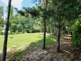 Parduodami du sklypai ramioje ir nuošalioje
