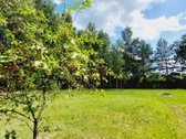 Parduodami du sklypai ramioje ir nuošalioje - nuotraukos Nr. 7