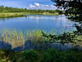 Parduodamas Komercinės Paskirties Žemės Sklypas  - nuotraukos Nr. 4