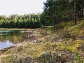 Parduodamas Komercinės Paskirties Žemės Sklypas  - nuotraukos Nr. 13