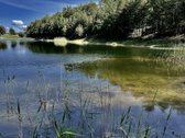 Parduodamas Komercinės Paskirties Žemės Sklypas  - nuotraukos Nr. 15