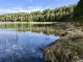 Parduodamas Komercinės Paskirties Žemės Sklypas  - nuotraukos Nr. 18