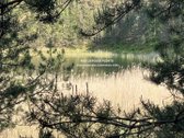 Parduodamas Komercinės Paskirties Žemės Sklypas  - nuotraukos Nr. 19