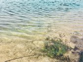 Parduodamas Komercinės Paskirties Žemės Sklypas  - nuotraukos Nr. 22