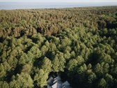 Siūlome ilgalaikei nuomai jaukius ir - nuotraukos Nr. 12