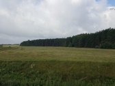 Unikalioje gražioje vietoje Užusalių kaime - nuotraukos Nr. 2