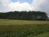Unikalioje gražioje vietoje Užusalių kaime - nuotraukos Nr. 3