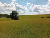 Keturių žemės ūkio paskirties (unik.nr.:7858 - nuotraukos Nr. 2