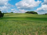 Keturių žemės ūkio paskirties (unik.nr.:7858 - nuotraukos Nr. 4