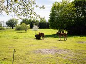 Parduodama unikali net 73 arų sodyba, - nuotraukos Nr. 2