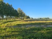 Parduodami gyvenamosios paskirties žemės - nuotraukos Nr. 3