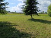 Parduodamas išskirtinis erdvus namų valdos - nuotraukos Nr. 4