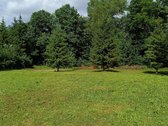 Parduodamas išskirtinis erdvus namų valdos - nuotraukos Nr. 5