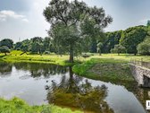 Šviesus ir jaukus 2 kambarių butas Paupyje / - nuotraukos Nr. 18
