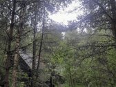 Nedidelė jauki sodybėlė tikram poilsiui - nuotraukos Nr. 15