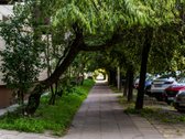 Tvarkingas Butas Geroje Vietoje! - nuotraukos Nr. 22