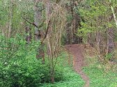 Parduodami du sklypai Valkininkų mstl., - nuotraukos Nr. 7