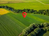 Šilutės r., Rusnės saloje, Nemuno deltos - nuotraukos Nr. 5