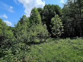 ? Parduodamas Išskirtinis Sklypas Prie Upės – - nuotraukos Nr. 2