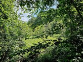 ? Parduodamas Išskirtinis Sklypas Prie Upės – - nuotraukos Nr. 3