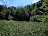 ? Parduodamas Išskirtinis Sklypas Prie Upės – - nuotraukos Nr. 5