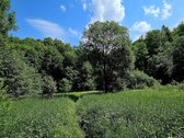 ? Parduodamas Išskirtinis Sklypas Prie Upės – - nuotraukos Nr. 6