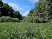 ? Parduodamas Išskirtinis Sklypas Prie Upės – - nuotraukos Nr. 7