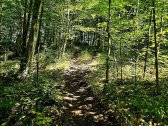 ? Parduodamas Išskirtinis Sklypas Prie Upės – - nuotraukos Nr. 9