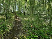 ? Parduodamas Išskirtinis Sklypas Prie Upės – - nuotraukos Nr. 10