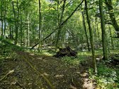 ? Parduodamas Išskirtinis Sklypas Prie Upės – - nuotraukos Nr. 11