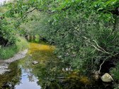 ? Parduodamas Išskirtinis Sklypas Prie Upės – - nuotraukos Nr. 15