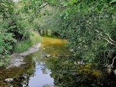 ? Parduodamas Išskirtinis Sklypas Prie Upės – - nuotraukos Nr. 16