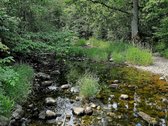 ? Parduodamas Išskirtinis Sklypas Prie Upės – - nuotraukos Nr. 17