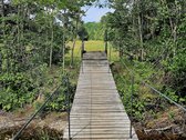 ? Parduodamas Išskirtinis Sklypas Prie Upės – - nuotraukos Nr. 18
